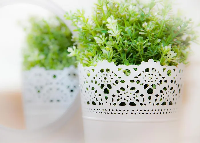 Apartmenthaus Lorbach Solingen