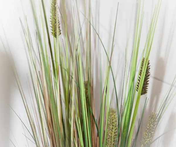 Apartmenthaus Lorbach Apartman Solingen